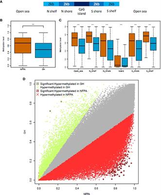 Methylome Analysis in Nonfunctioning and GH-Secreting Pituitary Adenomas